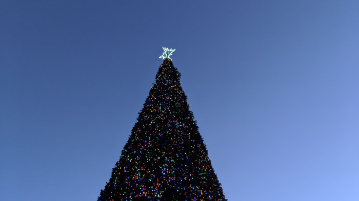 YVR Xmas 2 (Blog 41)