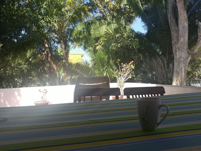 Mexico 2019 cafe (blog 45)